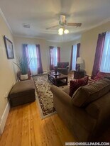 123-125 Hillside St. in Boston, MA - Building Photo