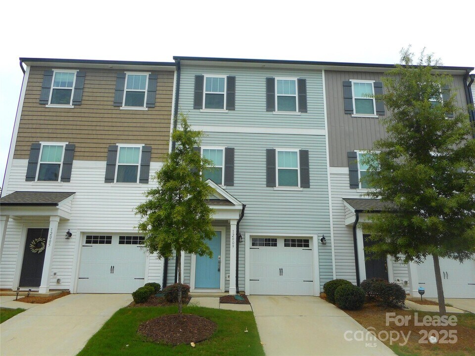 12009 Chesapeake Mallard Dr in Charlotte, NC - Foto de edificio