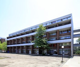 Primary Photo