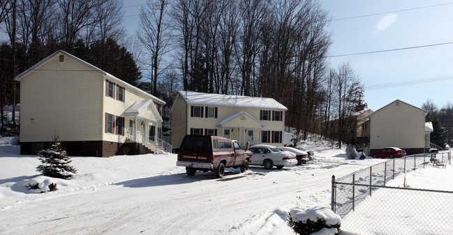 338 N Sandbranch Rd in Mt Hope, WV - Building Photo - Building Photo