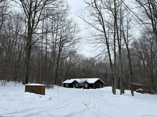 84 Country Rd in Callicoon, NY - Building Photo - Building Photo