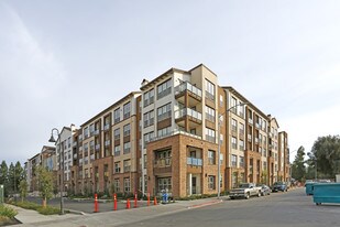 Epic Phase III Apartments