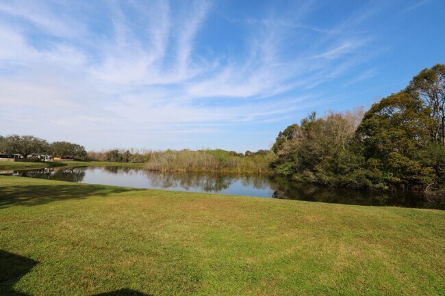 1116 Lake Shore Ranch Dr in Seffner, FL - Building Photo - Building Photo