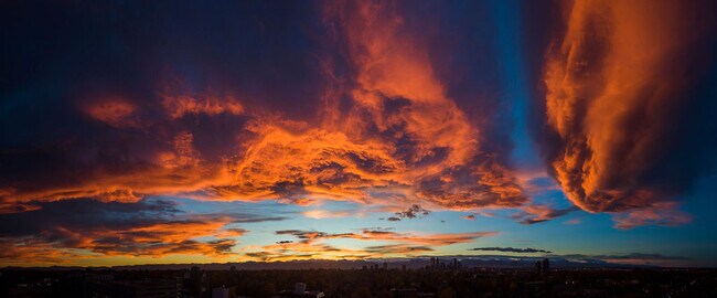 1155 Ash St, Unit 1001 in Denver, CO - Building Photo - Building Photo