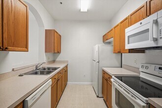 8101 Coconut Palm Way in Kissimmee, FL - Building Photo - Building Photo