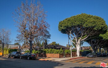 2441 14th St in Santa Monica, CA - Building Photo - Building Photo