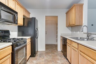 3602 Spring Canyon Trail in Round Rock, TX - Building Photo - Building Photo