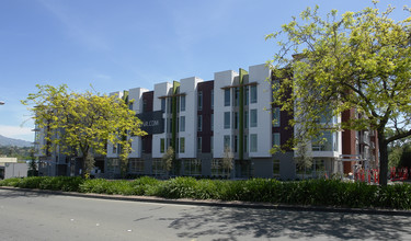 555 Ygnacio Valley Rd in Walnut Creek, CA - Foto de edificio - Building Photo