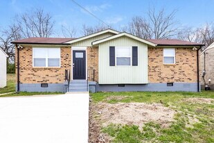 3332 Hospital Ln in Nashville, TN - Building Photo