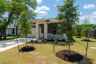 905 Olive Creek Dr in Georgetown, TX - Building Photo