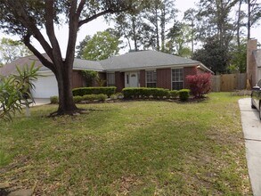 22623 River Birch Dr in Tomball, TX - Building Photo - Building Photo