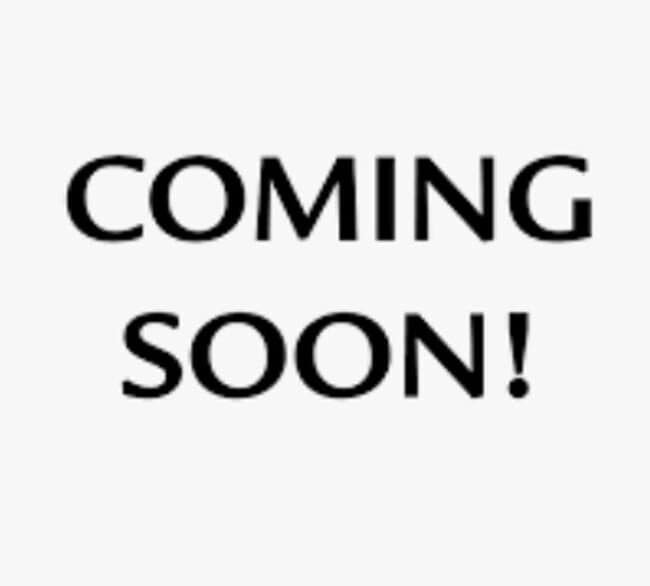 property at 336 Shady Ln