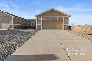 11920 Brahman Ct in Falcon, CO - Building Photo