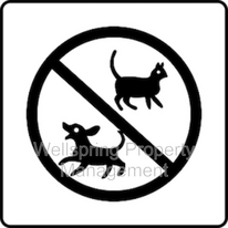 920 W Perch Ave in Ridgecrest, CA - Building Photo