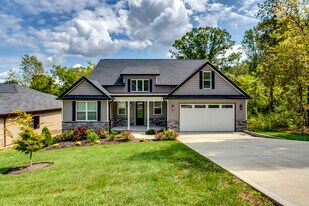 310 Dudala Way in Loudon, TN - Building Photo