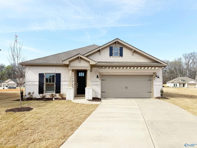 property at 217 Stockyard Cir