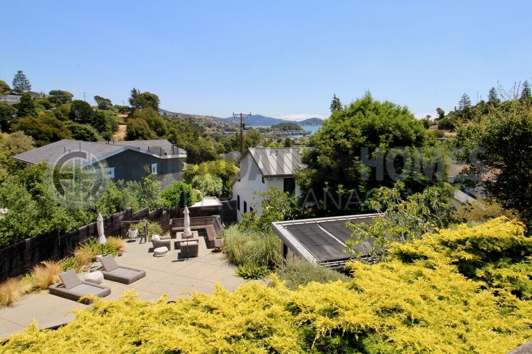 19 Bayview Terrace in Mill Valley, CA - Building Photo