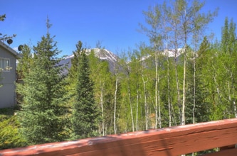 347 Deer Path Rd in Dillon, CO - Building Photo - Building Photo
