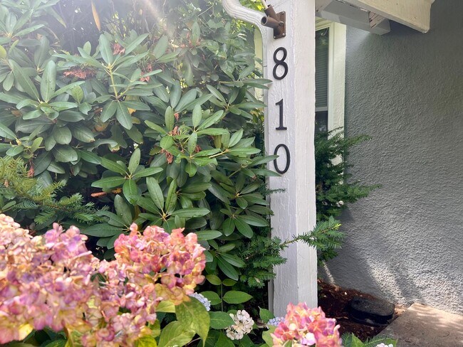 810 Stonehenge Ave in Charlottesville, VA - Building Photo - Building Photo