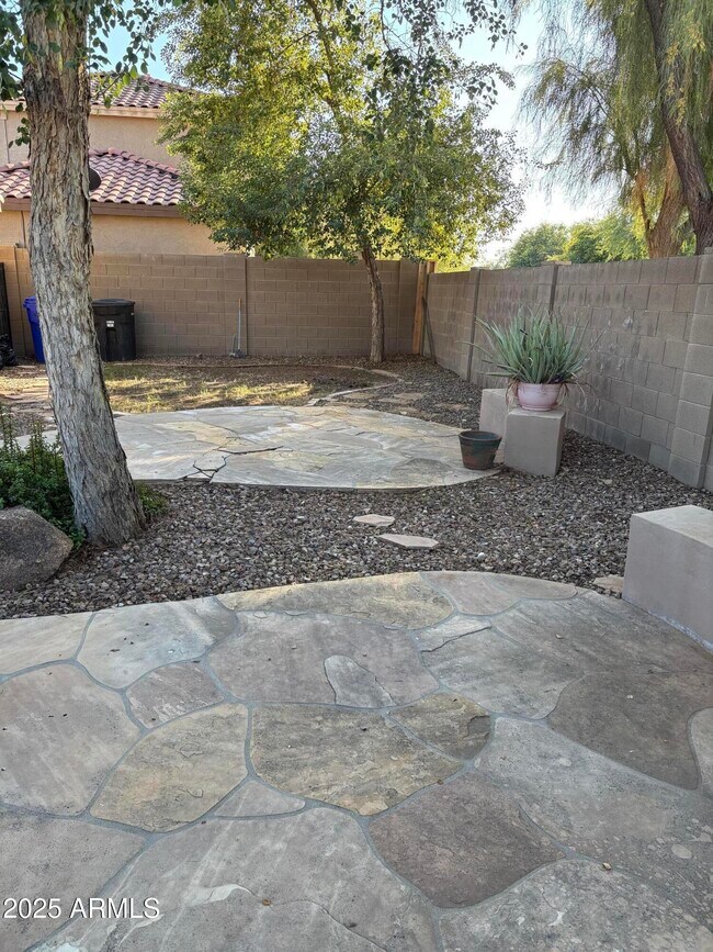 2401 E Peach Tree Dr in Chandler, AZ - Building Photo - Building Photo