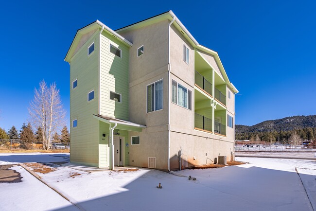 560 E Grace Ave in Woodland Park, CO - Building Photo - Building Photo