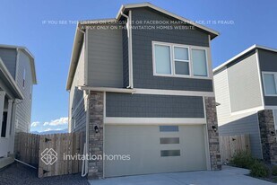 11127 House Finch Ln in Colorado Springs, CO - Building Photo