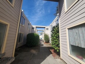 Kingwood Apartments in Santa Rosa, CA - Building Photo - Building Photo