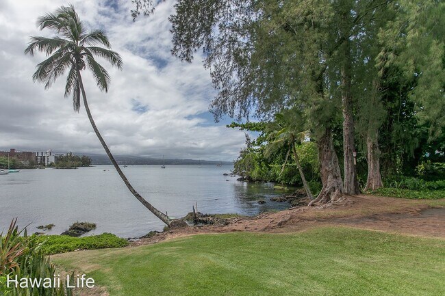 355 Kalanianaole Ave photo'