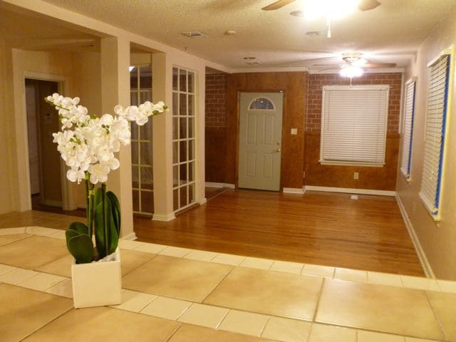 416 E Magnolia Dr in Tallahassee, FL - Building Photo - Building Photo