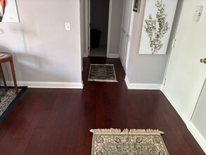 511 1st St N in Charlottesville, VA - Foto de edificio - Building Photo