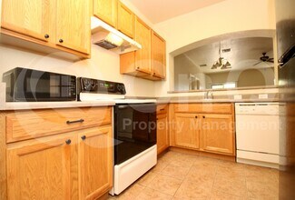 11379 W Burning Sage St in Marana, AZ - Building Photo - Building Photo