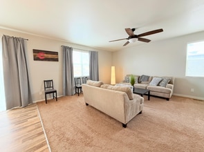 3634 Daylily St in Wellington, CO - Building Photo - Building Photo