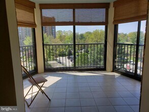 5901 Mt Eagle Dr-Unit -605 in Alexandria, VA - Building Photo - Building Photo