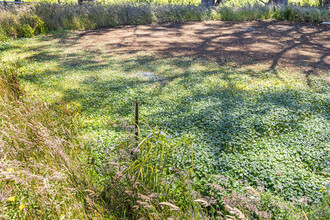 Ledger Ranch in Tomales, CA - Building Photo - Building Photo