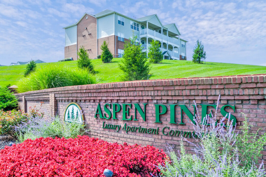 Aspen Pines in Wilder, KY - Foto de edificio