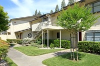 Larkspur in Sacramento, CA - Foto de edificio - Building Photo