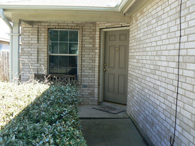 13413 Constellation Dr in Manor, TX - Foto de edificio - Building Photo