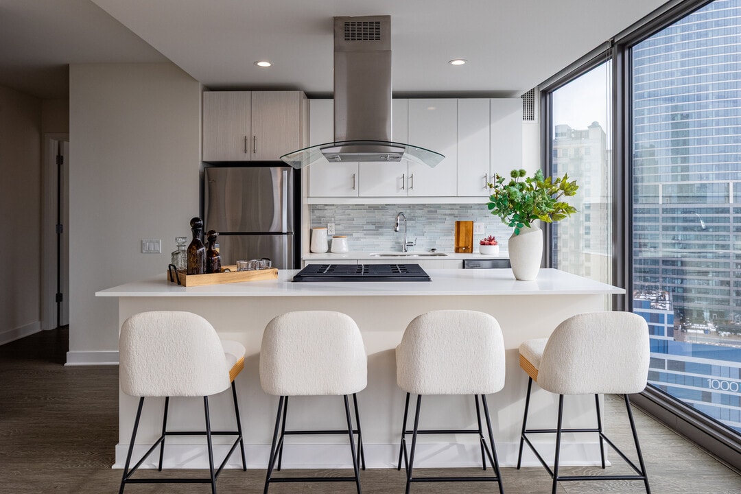 1001 South State in Chicago, IL - Building Photo