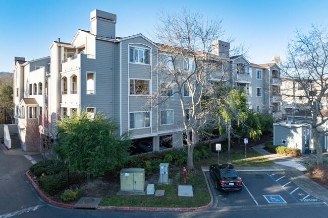 Bridge creek Apartments in Novato, CA - Building Photo - Building Photo