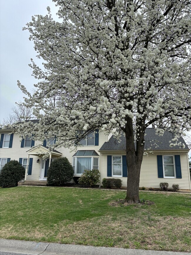 38 Silverwood Blvd, Unit 1