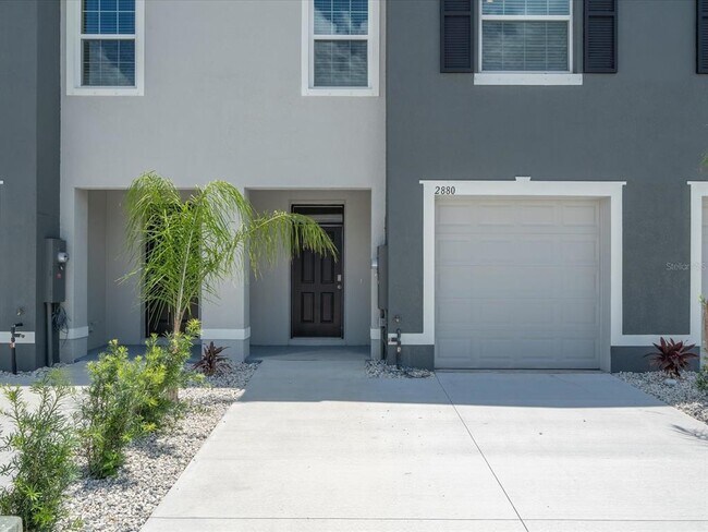 2880 Beluga Bay Dr in Odessa, FL - Building Photo - Building Photo