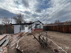 229 Lilac St in Colorado Springs, CO - Building Photo