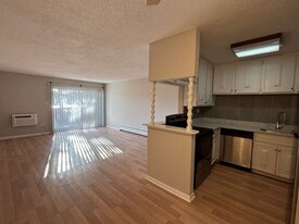 16 E Old Willow Rd in Prospect Heights, IL - Building Photo