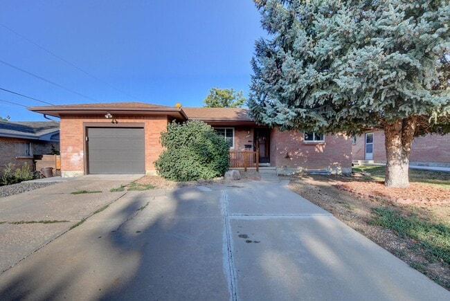 615 Poppy Way in Broomfield, CO - Building Photo - Building Photo