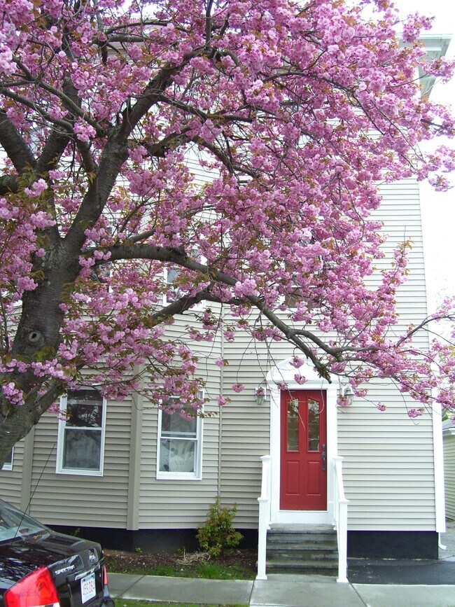 51 Oliver St Apartments and Nearby Bristol Apartments For Rent