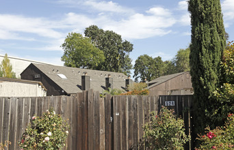 568 Olive St in Santa Rosa, CA - Foto de edificio - Building Photo