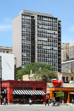 30 E Elm St in Chicago, IL - Building Photo - Building Photo