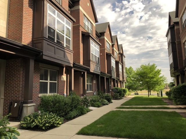 property at 317 Alpine Springs Dr