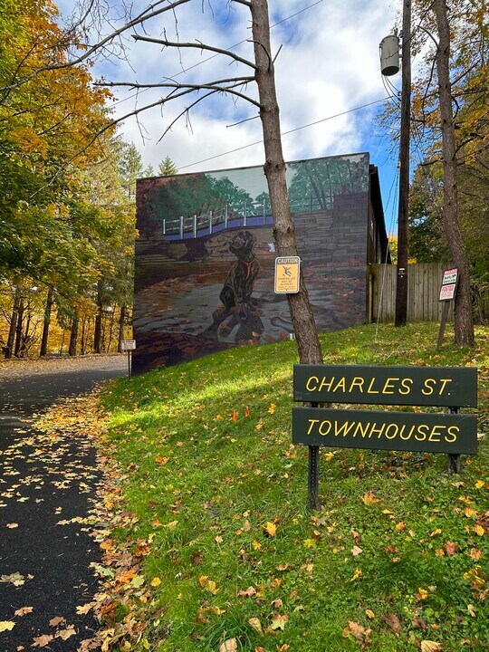 2 Charles St in Ithaca, NY - Foto de edificio