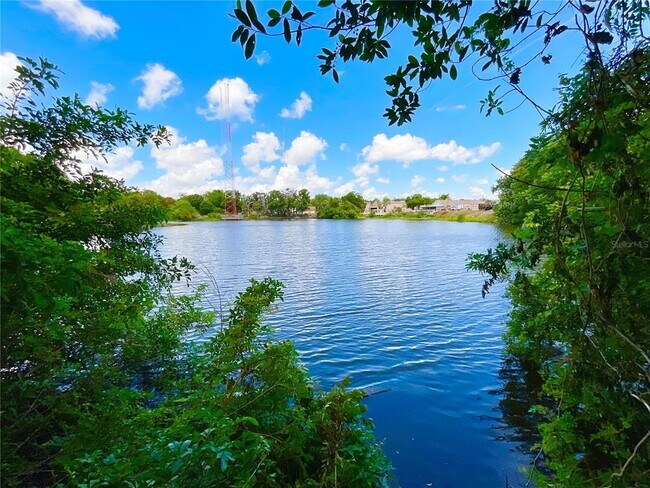 1145 7th St N in Safety Harbor, FL - Building Photo - Building Photo